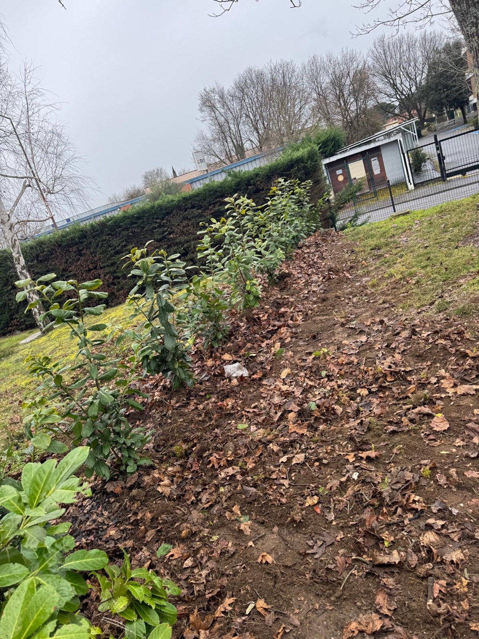 préparation de terrain-muret-services
